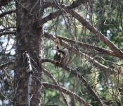 MontanaBackpacking2013 212